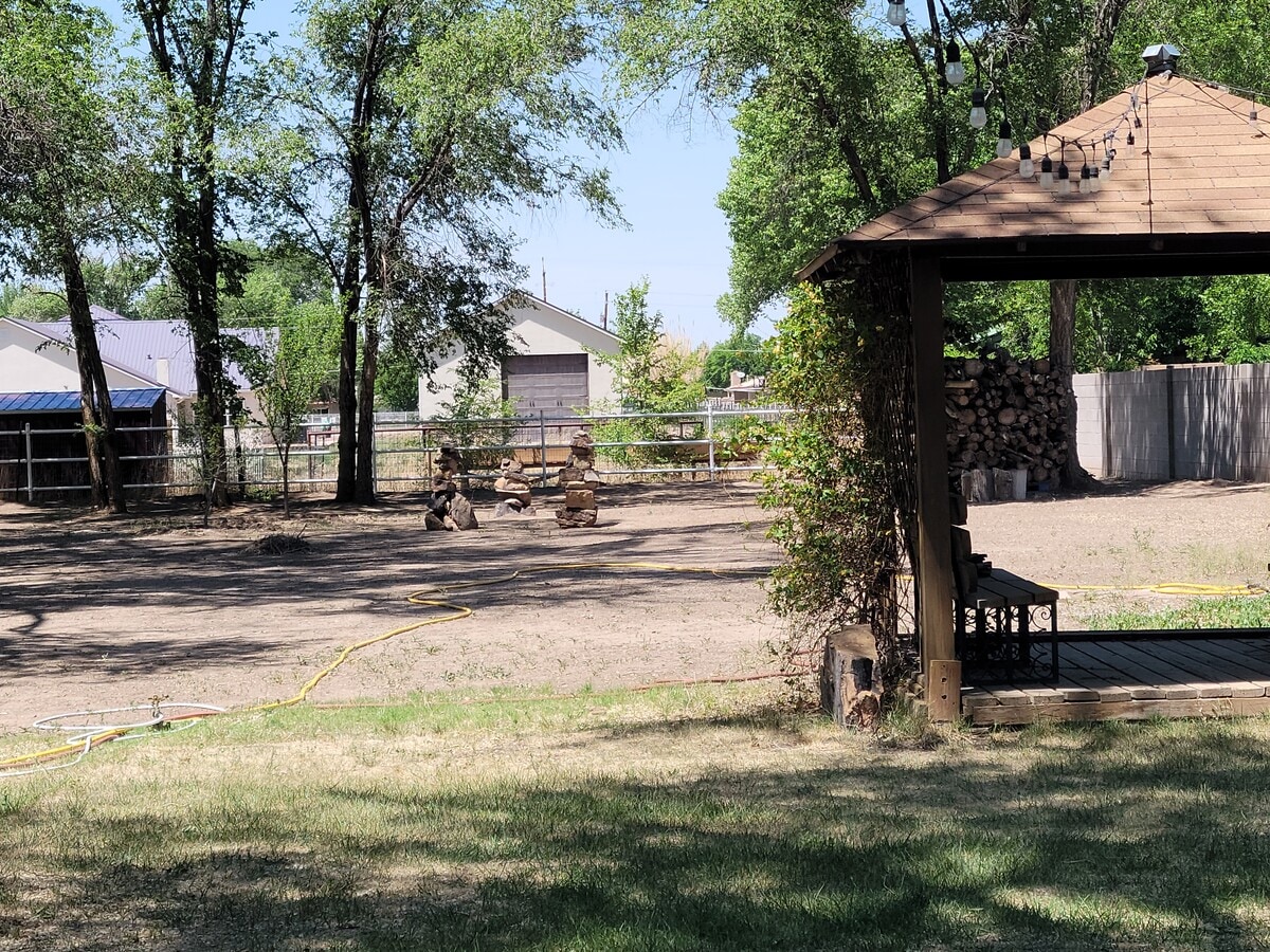 Gran patio trasero. ¡Un paraíso para los perros! - 2505 Gun Club Rd SW