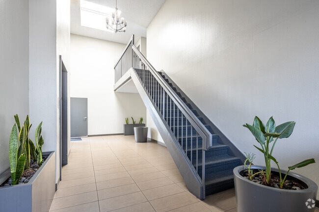 Park Downtown Apartments