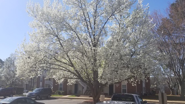 Photo - Arborgate Apartment Homes
