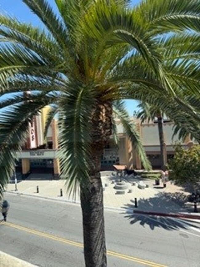 215 S Brea Blvd, LLC - Lofts