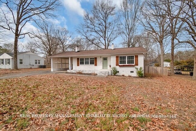 Building Photo - Charming Brick Ranch with Massive Privacy Yard