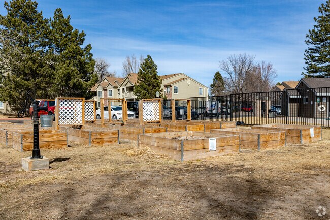 Community Garden