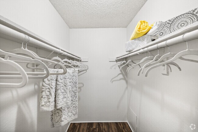 1BR, 1BA - 540SF - Closet