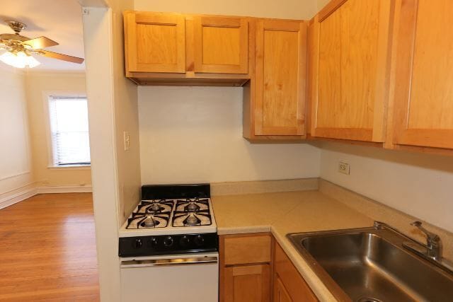 1023 N Dearborn St Unit 504
