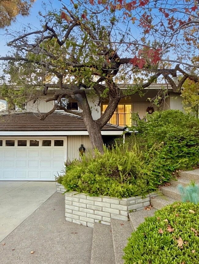 Photo - 490 Starlight Crest Dr