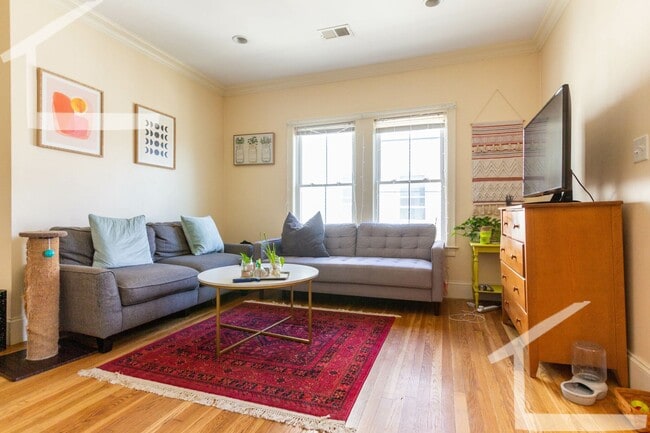 Building Photo - Brand new 4 bed 2 bath in Lower Allston...