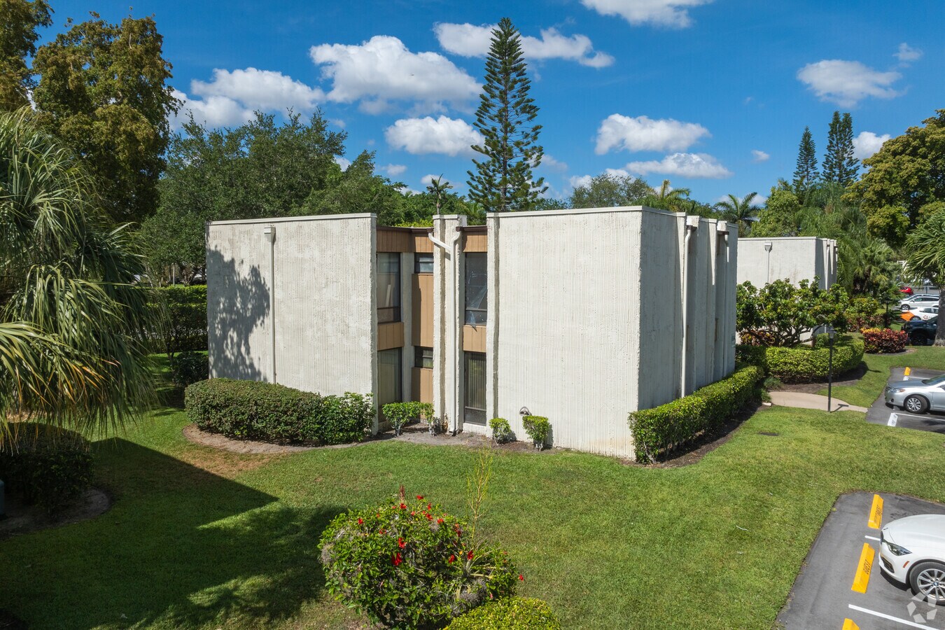 Primario - Woodhaven