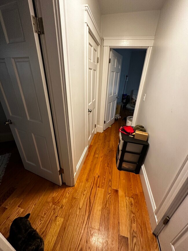 Building Photo - 88 Hampshire St Rental
