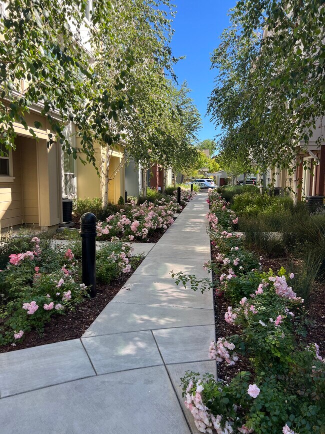 community - 918 Arietta Dr