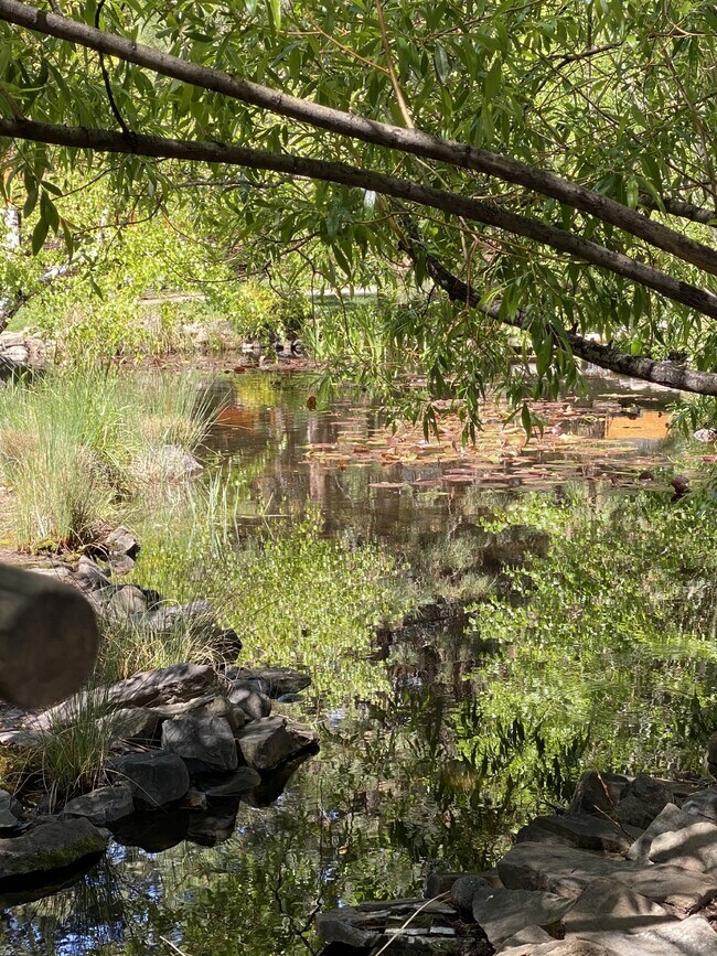 Photo - Unique home SE Bend furnished