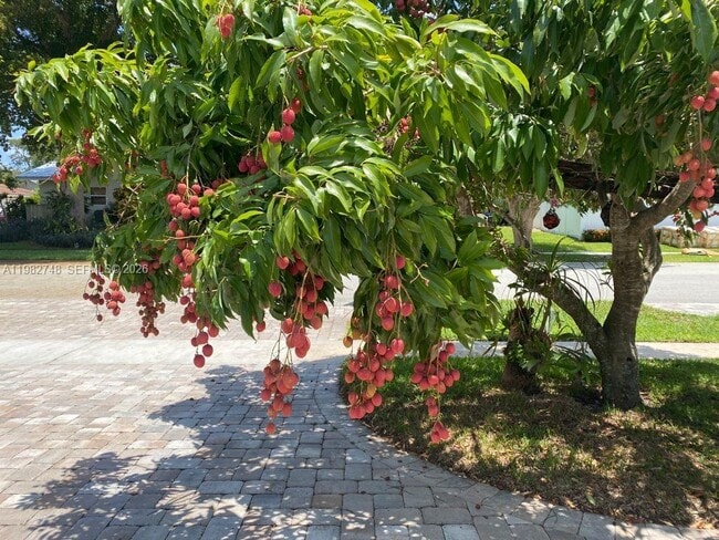 Building Photo - 1251 SW 11th Terrace