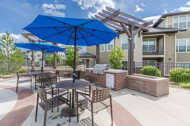 Outdoor Grills