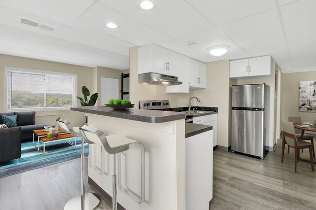 Fully Reno One Bedroom