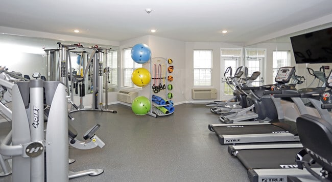 Gimnasio