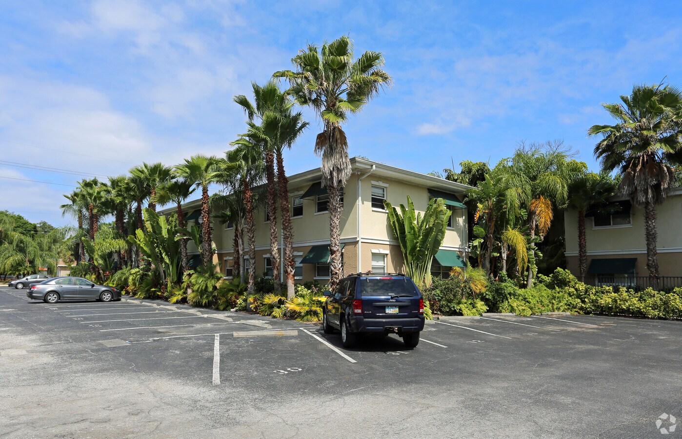 Photo - Palm Grove Apartments