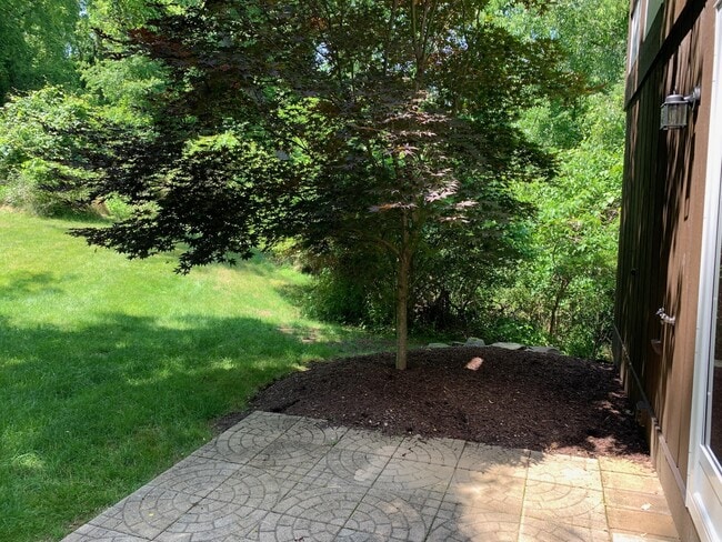 Ground floor patio - 111 Little Glen Dr