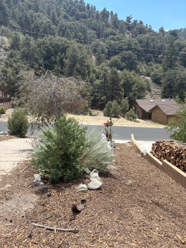 Photo - 14921 Geneva Ct