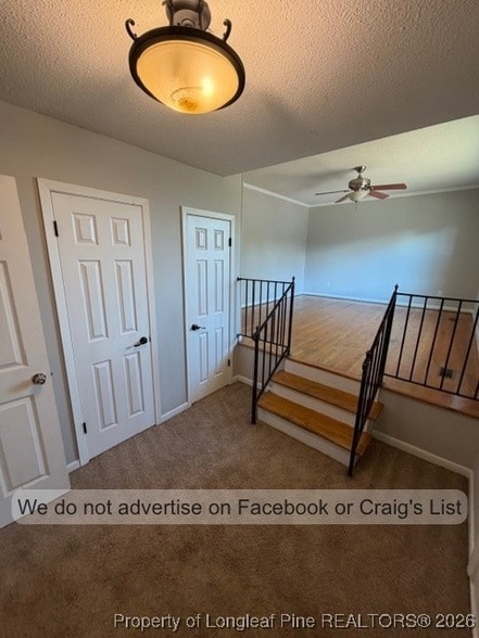 Photo - 563 Alleghany Rd
