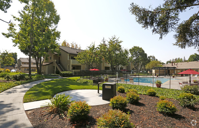 Amberwood Apartments - Amberwood Apartments