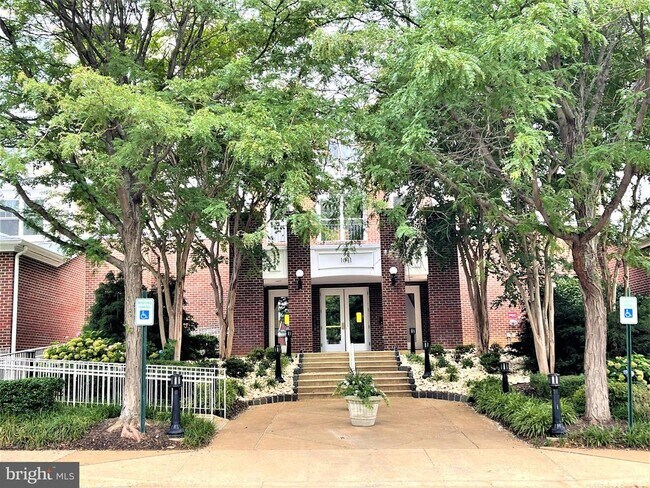 Building Photo - 1641 International Dr Unit 418