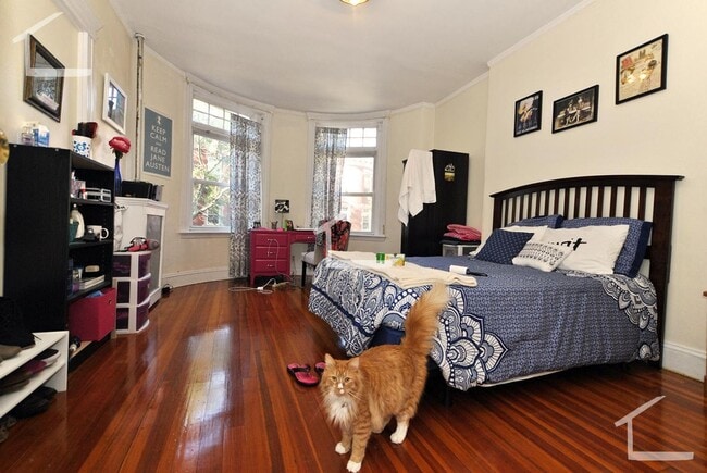 Photo - Huge 4 bed in Cleveland Circle