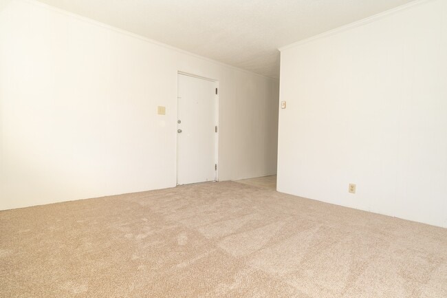 Photo - 1 Bed 1 Bath Condo in Carrboro!