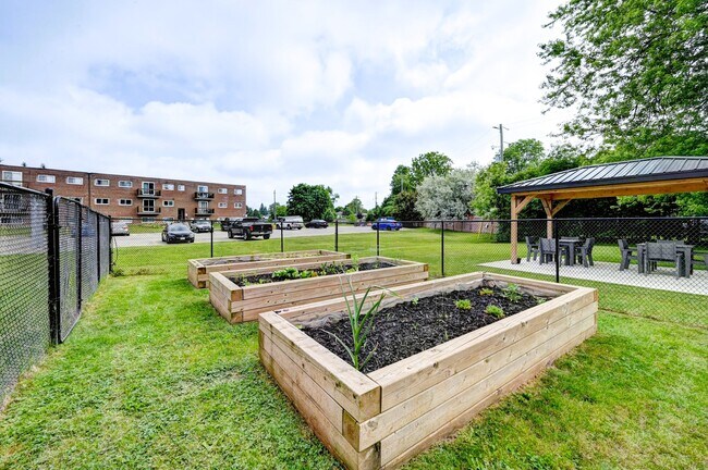 Photo - Flamingo Apartments