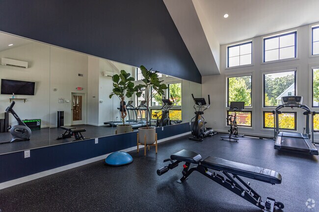 gimnasio