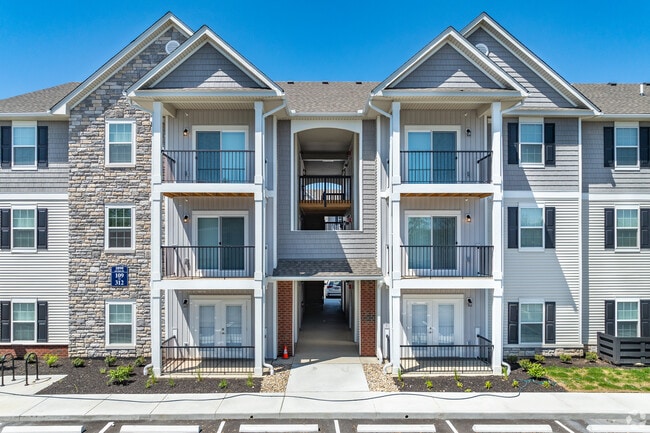 Photo - Alkire Meadows