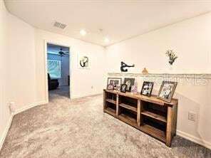 Photo - 32105 Powderpuff Mimosa Dr