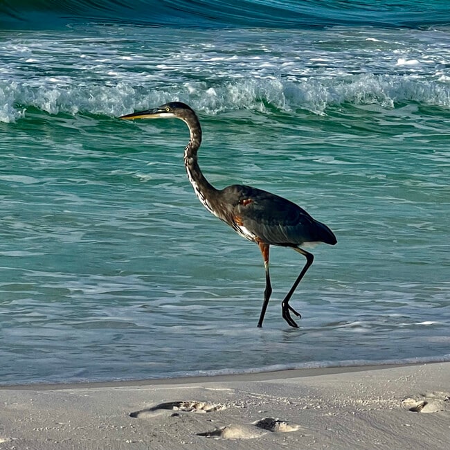 Photo - 3755 Scenic Hwy 98