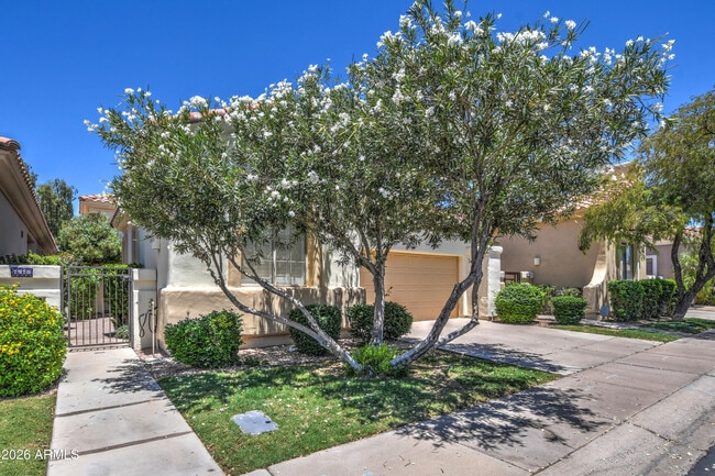 Photo - 7910 E Cholla St