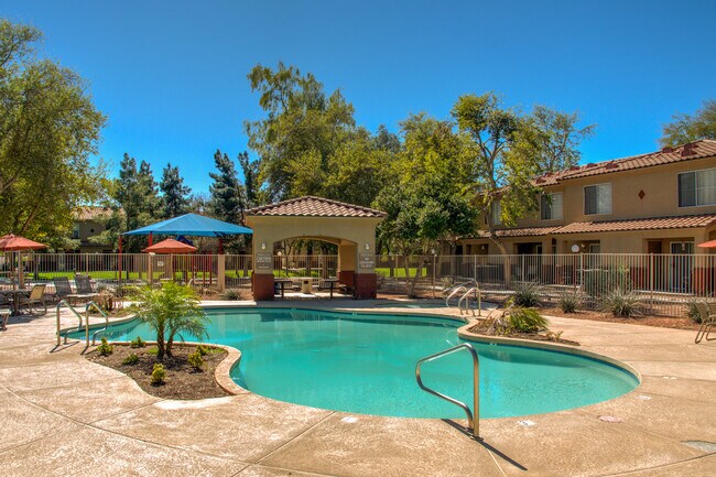 Photo - Steeple Chase