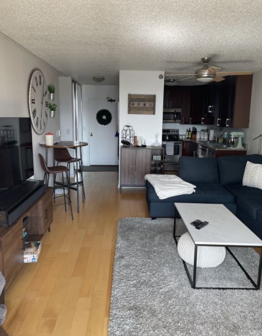 Photo - 1212 N La Salle Dr