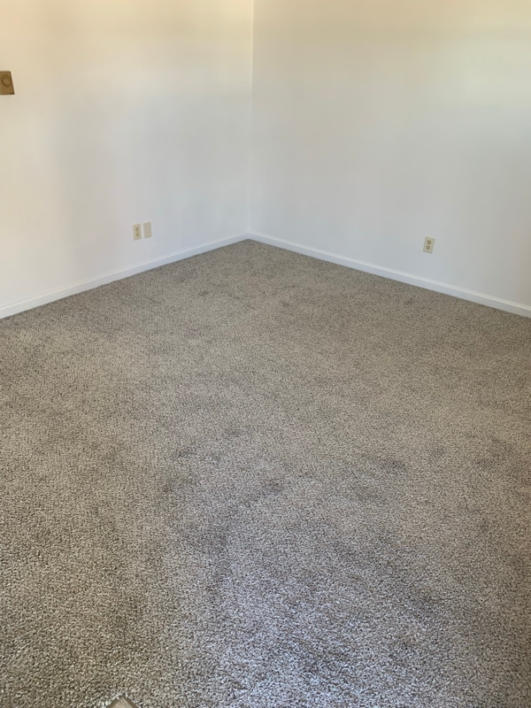 Photo - 150 E Back St Unit 1