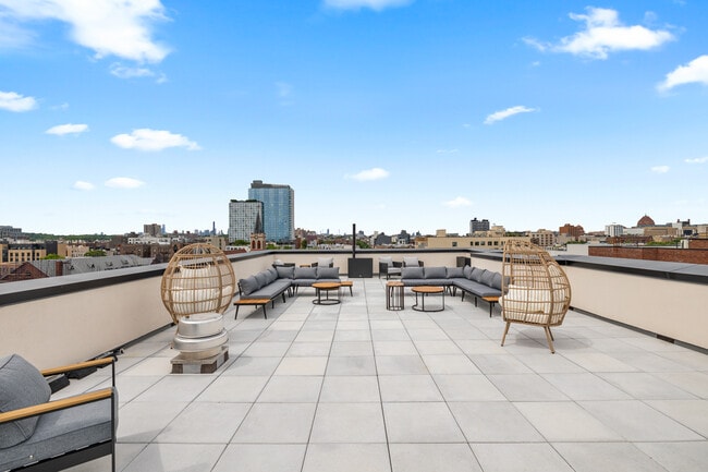Roof Terrace - 2605 Snyder Avenue
