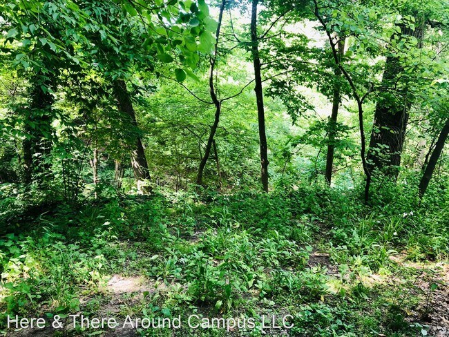 Photo - 7 br, 2 bath Room For Rent - 2034 Iuka Ave.