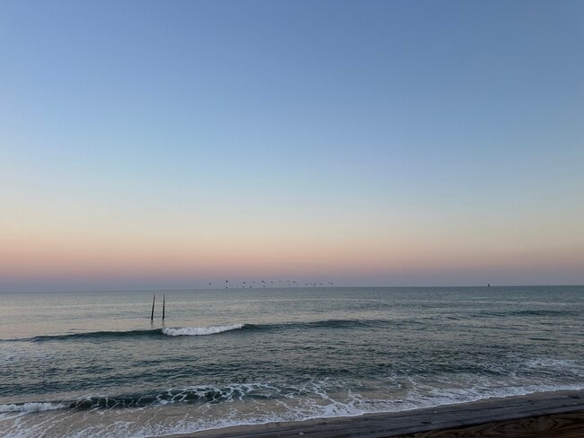 Photo - Pelican Watch
