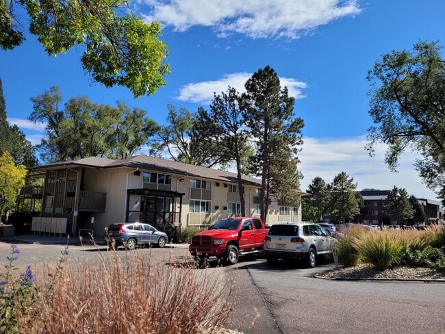 Photo - The Ashcroft-B: 1-Bed/ 1-Bath Upgraded Apartment Unit OTG 809-104