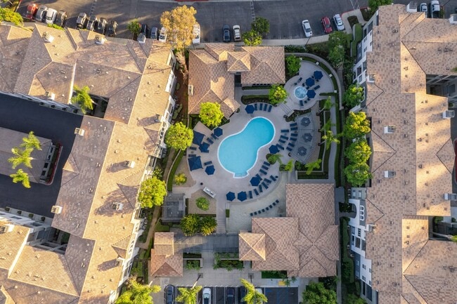 Alize Apartment Homes