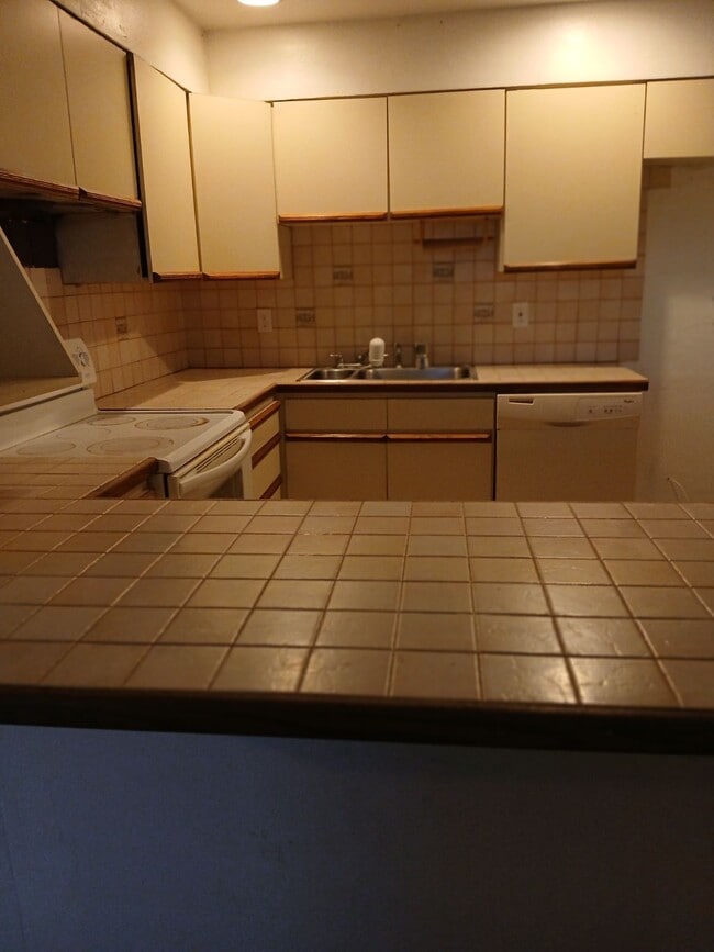Photo - 480 Nancie Ave
