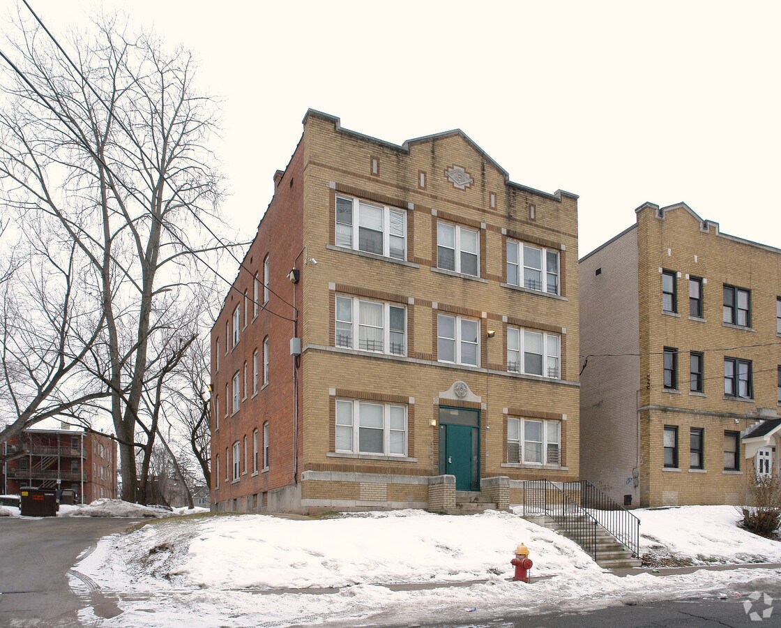 Enfield Magnolia - Enfield Magnolia