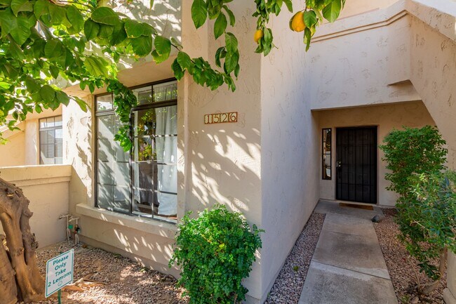 Building Photo - Racquet Club Condo – 1 Bedroom, 1 Bath Unit 1526