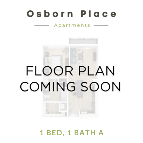 Floor Plan - 1 Bed - 1 Bath A