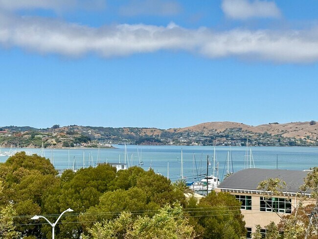 New 2bed/1bath View Flat in Sausalito - New 2bed/1bath View Flat in Sausalito Condo Unit 1