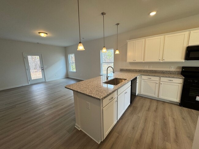 Photo - Brand New 3/2.5 House in Armuchee- $1,995