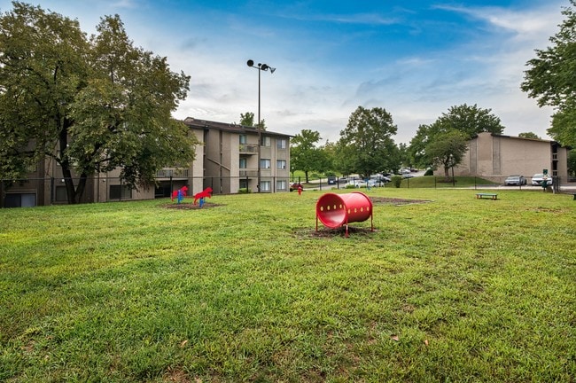 Dog Park