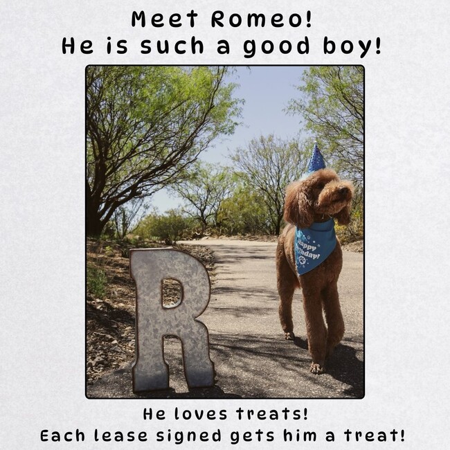 Photo - Coming soon! Rare Mission Kansas home for rent