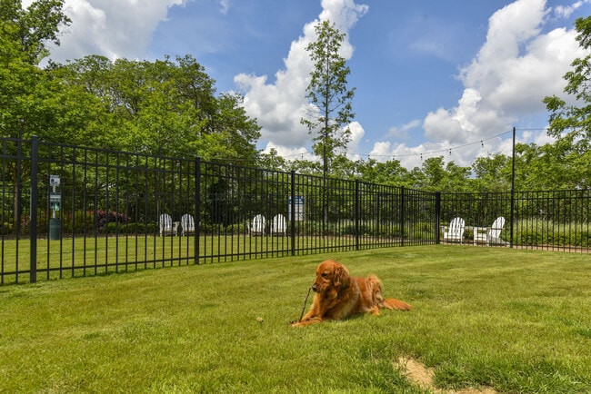 Photo - The Mill at Westside