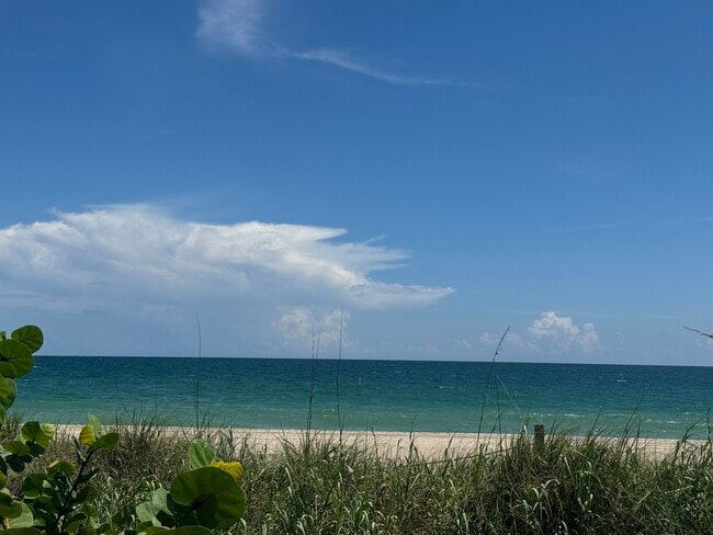 Walk 2 blocks to the ocean! - 2121 N Ocean Blvd Unit #2